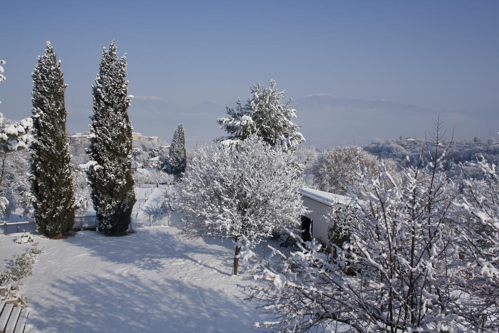 Pensjonat Le Storie Di Bambu Terni Zewnętrze zdjęcie